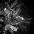 05-Vanuatu Islands for KUONI.jpg